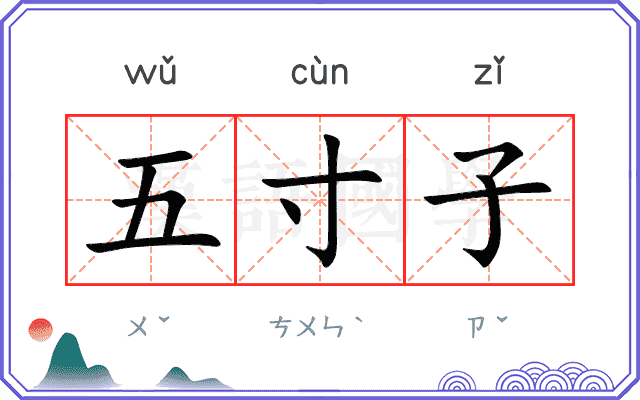 五寸子