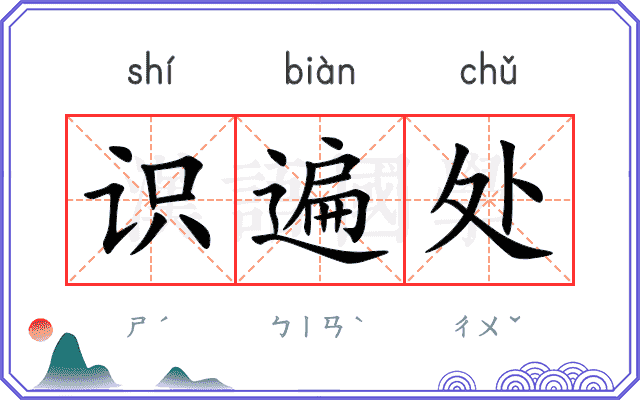 识遍处
