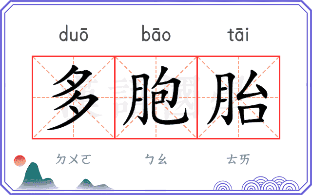 多胞胎