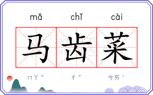 马齿菜