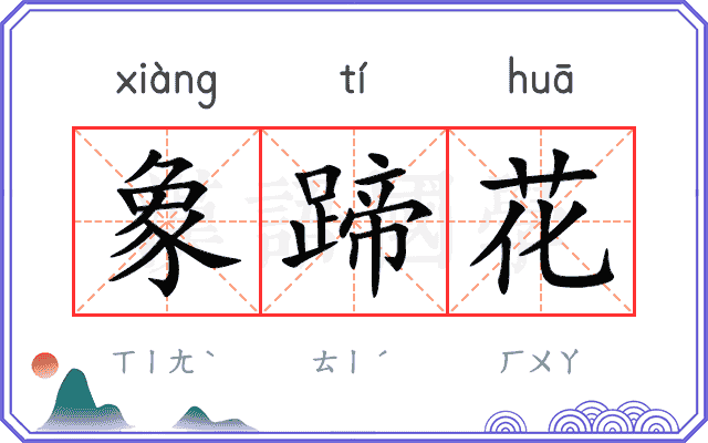 象蹄花