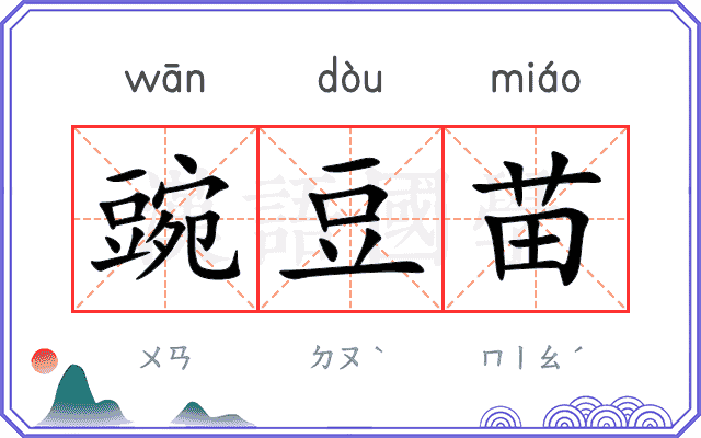 豌豆苗