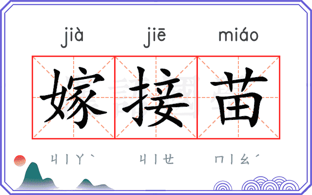 嫁接苗