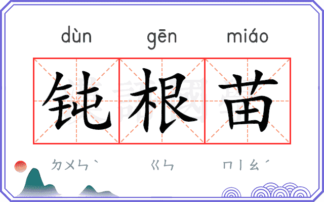 钝根苗