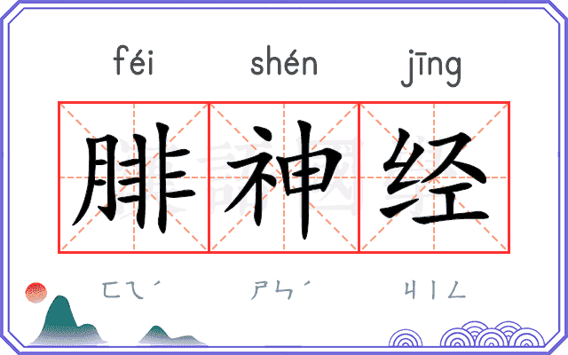 腓神经