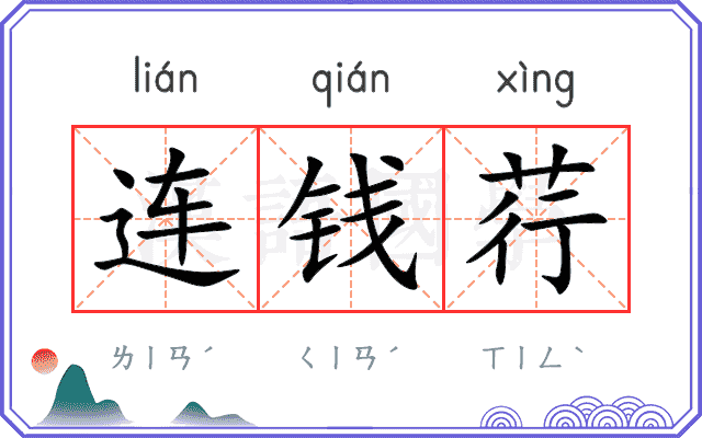连钱荇