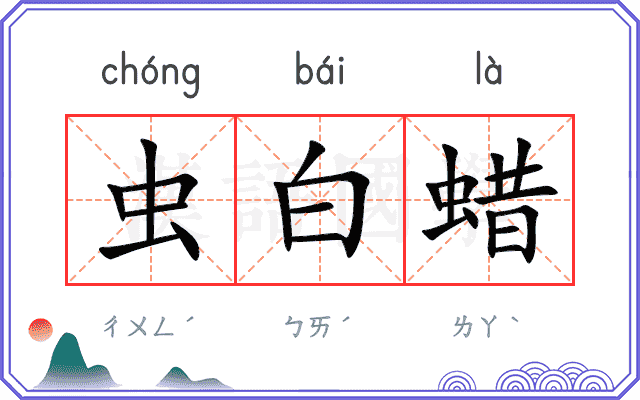 虫白蜡