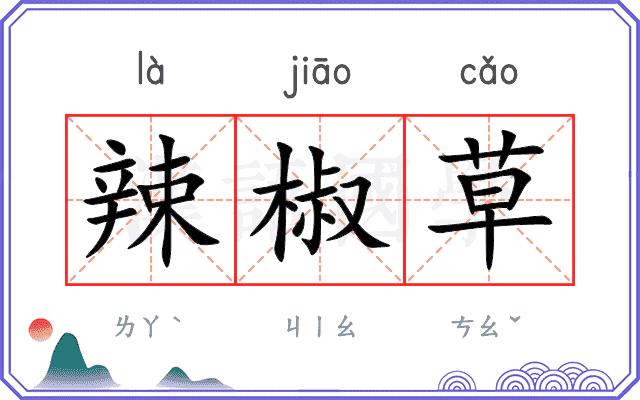 辣椒草