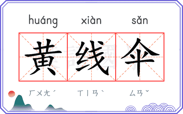 黄线伞