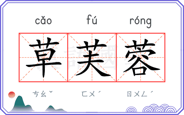 草芙蓉