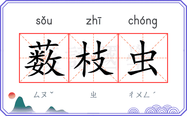 薮枝虫