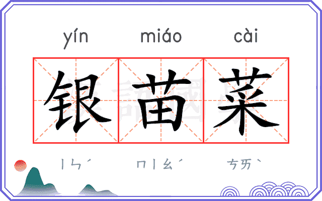 银苗菜