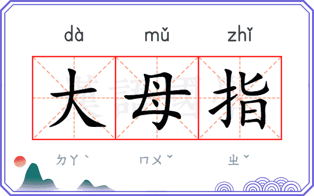 大母指