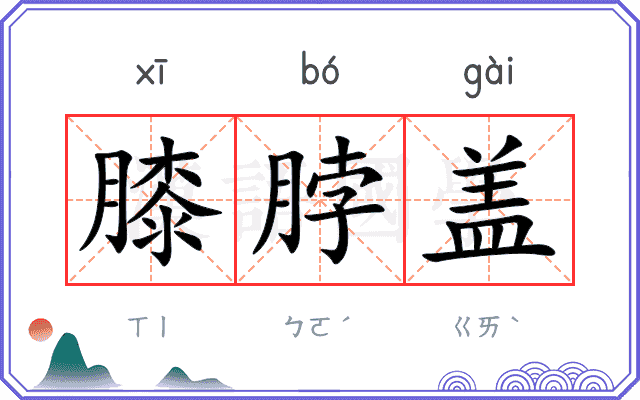 膝脖盖