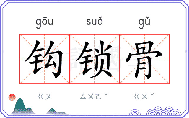 钩锁骨