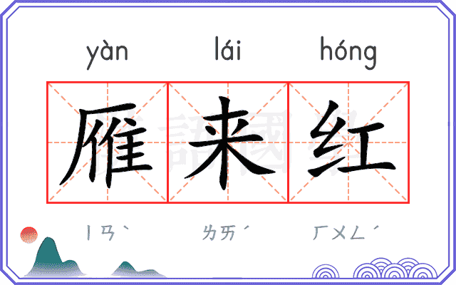 雁来红