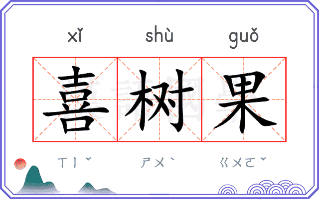 喜树果