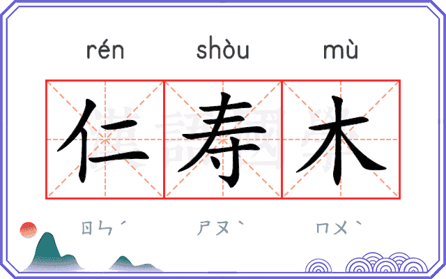 仁寿木