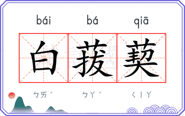 白菝葜