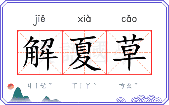解夏草