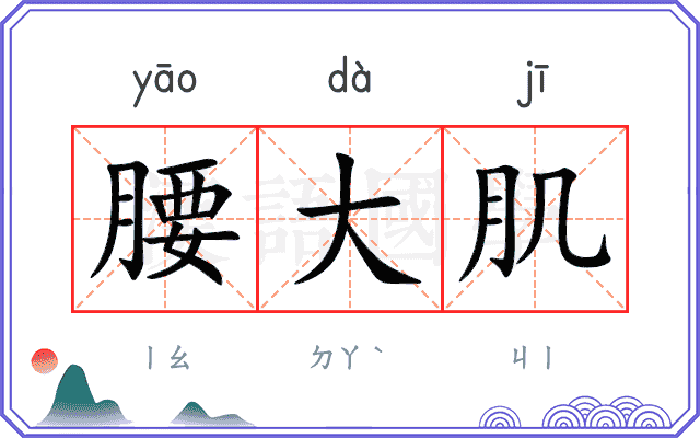 腰大肌