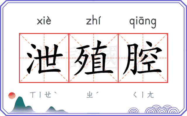 泄殖腔