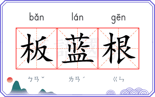 板蓝根