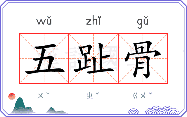 五趾骨