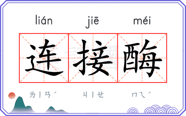 连接酶