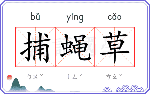 捕蝇草