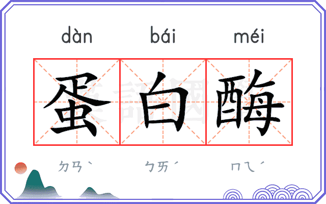 蛋白酶