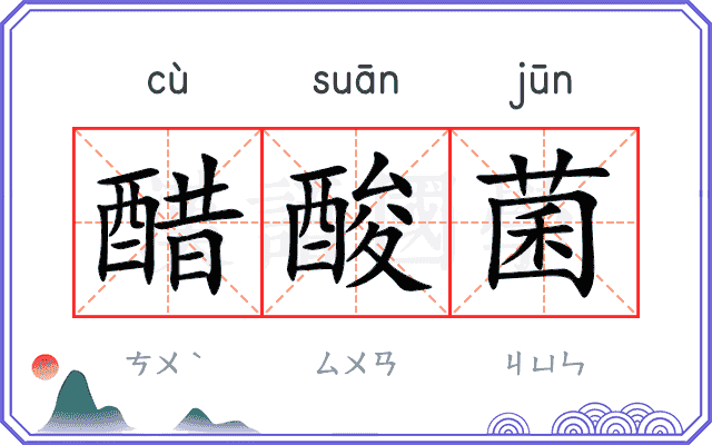 醋酸菌