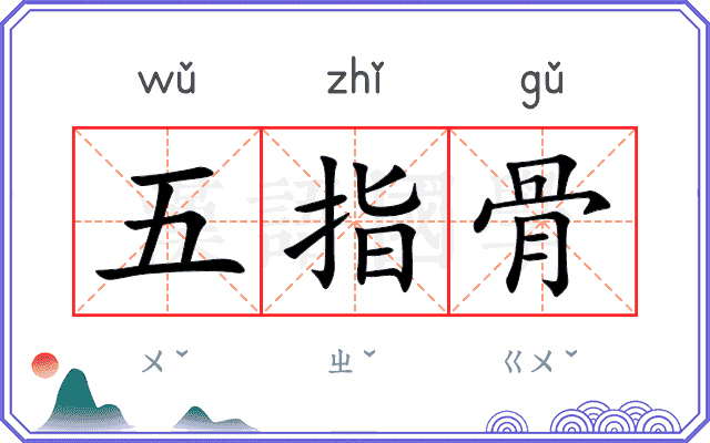 五指骨