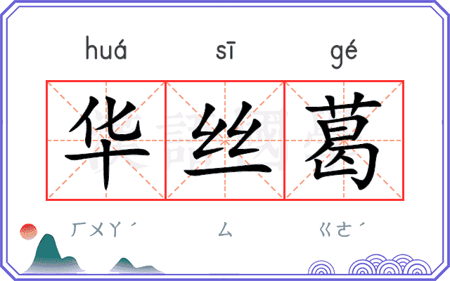 华丝葛