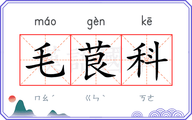 毛茛科