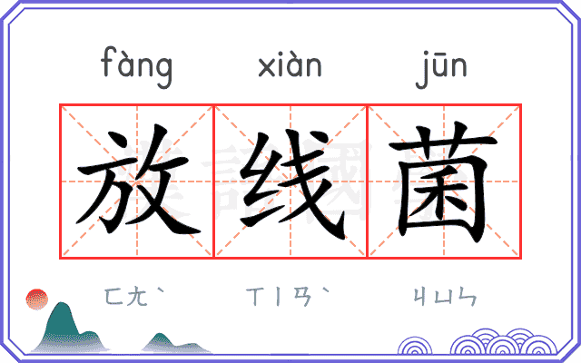 放线菌