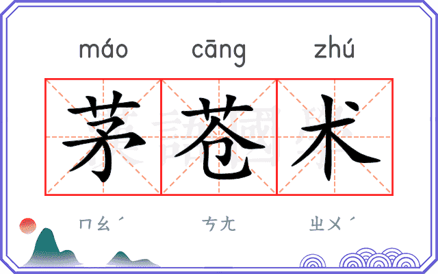 茅苍术