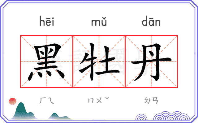 黑牡丹
