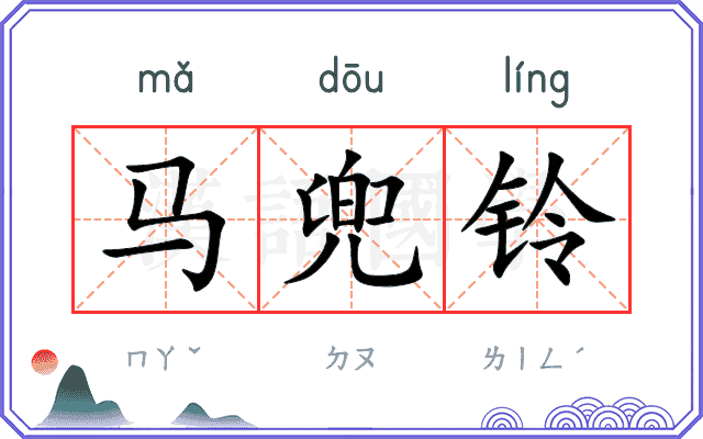 马兜铃