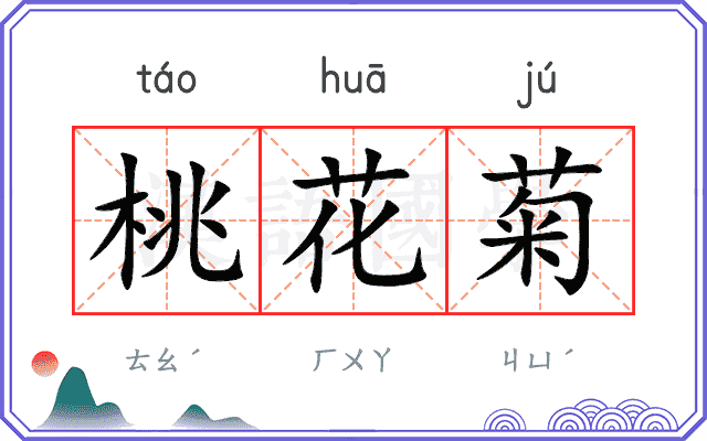 桃花菊