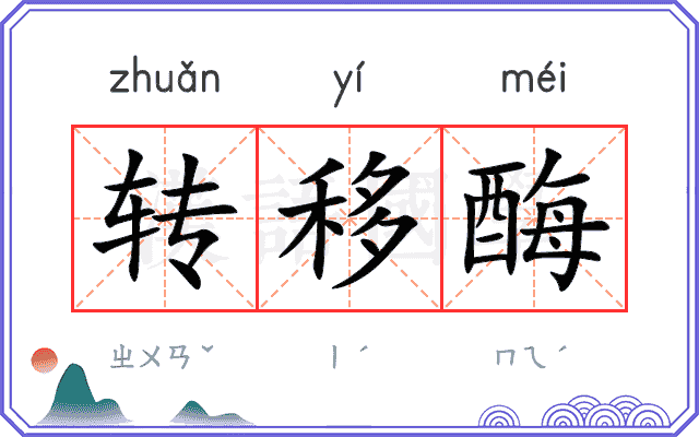 转移酶