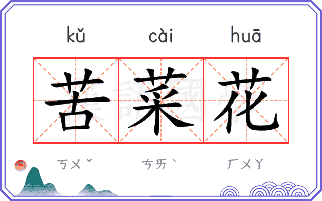 苦菜花