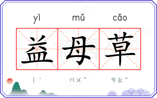 益母草