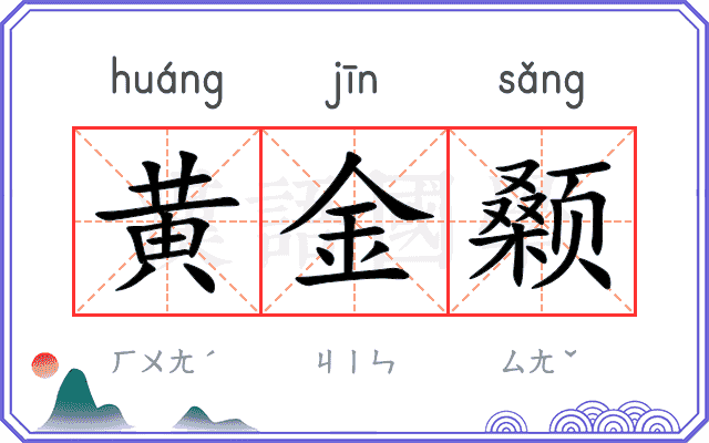 黄金颡
