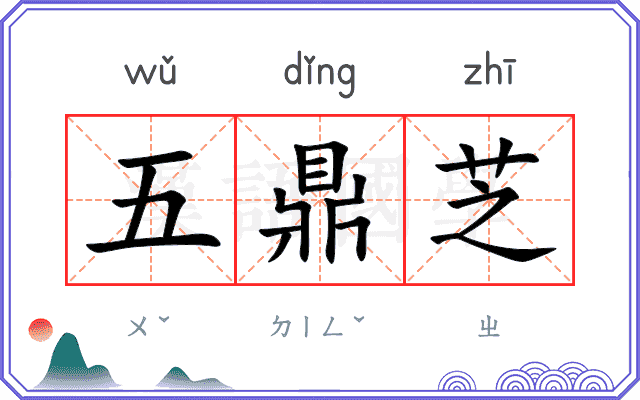 五鼎芝