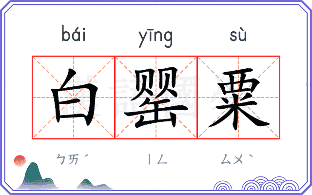 白罂粟