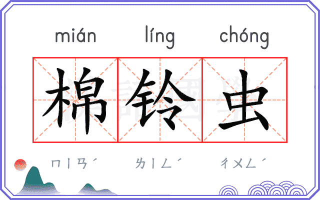棉铃虫