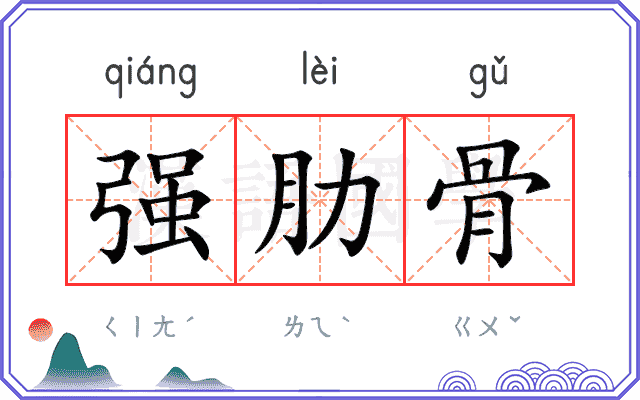 强肋骨