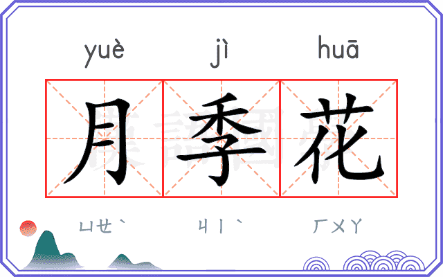 月季花