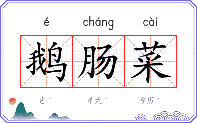 鹅肠菜